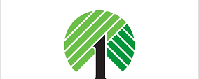 Dollar Tree Compass The 